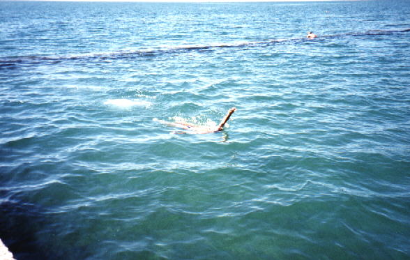 ������,���� ����!